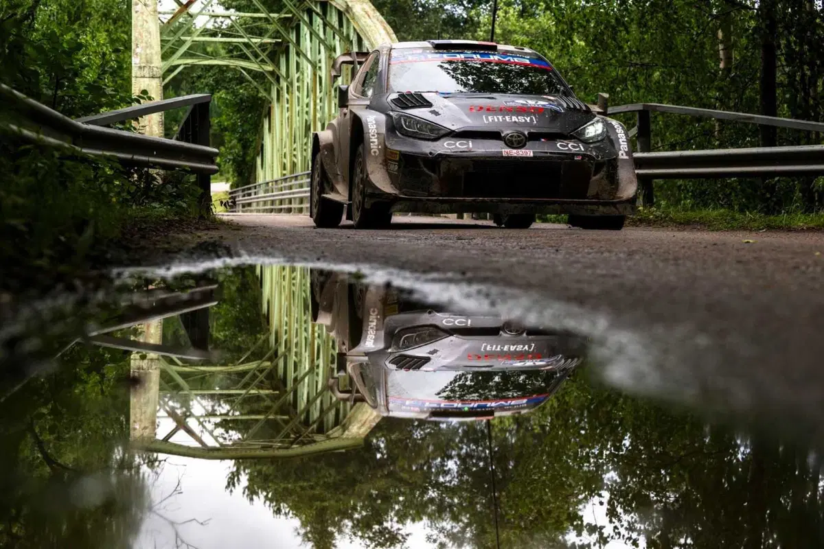 WRC24. Rally Finlandia D3. La “pratica” Rovanpera [GALLERY] (11)