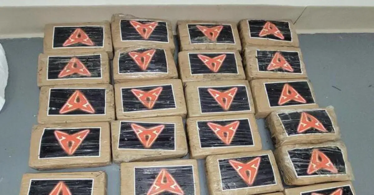Il logo Cupra questa volta non &egrave; su un'auto: strano ritrovamento della Guardia Costiera