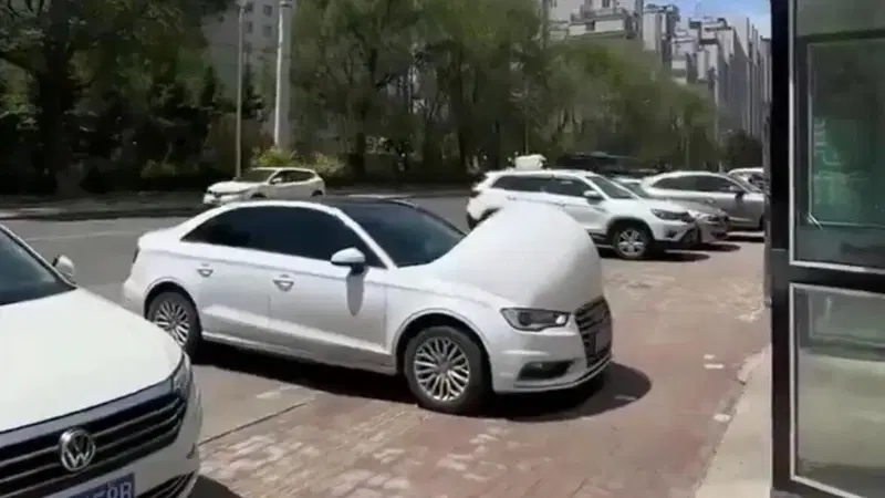 Le foto delle auto "beluga" con le bolle sul cofano non sono quello che sembrano