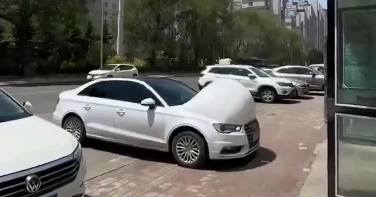 Le foto delle auto "beluga" con le bolle sul cofano non sono quello che sembrano
