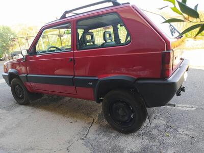 Fiat Panda 1100 i.e. cat 4x4 Trekking  del 2003 usata a Olevano Romano