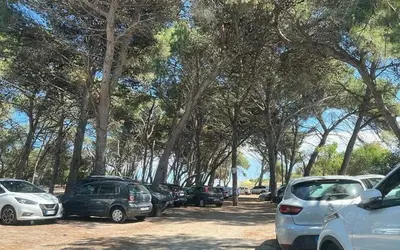 Macchie di resina sull'auto, come rimuoverle
