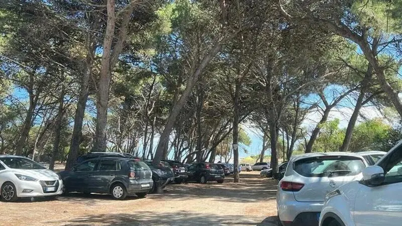 Macchie di resina sull'auto, come rimuoverle