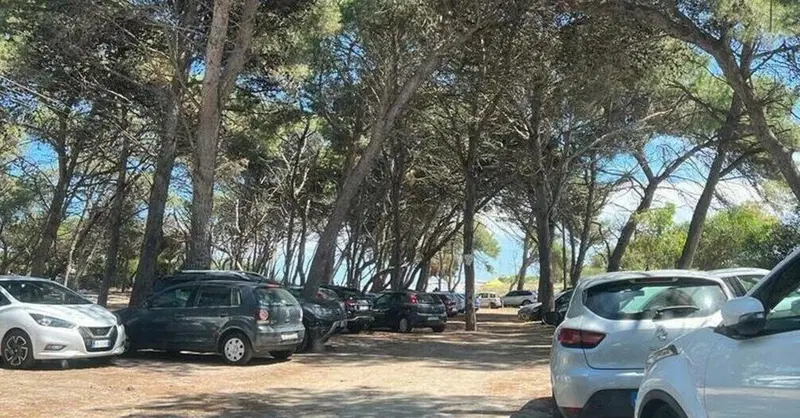 Macchie di resina sull'auto, come rimuoverle
