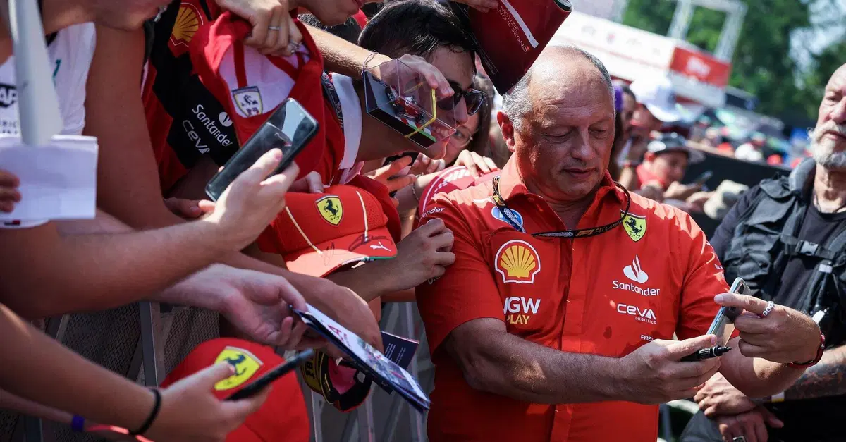 F1. GP d'Italia, Vasseur: "Gli aggiornamenti di Monza sono solo un inizio. La pressione &egrave; tanta ma cercheremo di vincere"