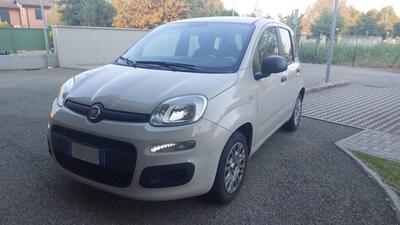 Fiat Panda 1.2 Easy  del 2015 usata a Modena