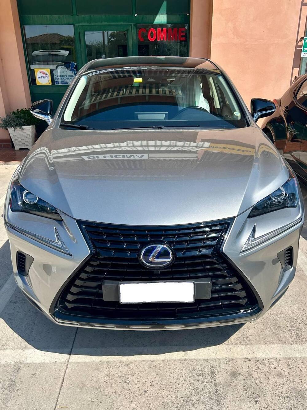 Lexus NX usata a Arezzo (2)