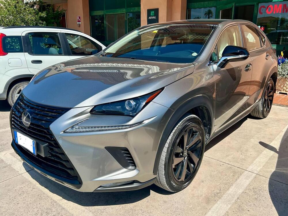 Lexus NX usata a Arezzo