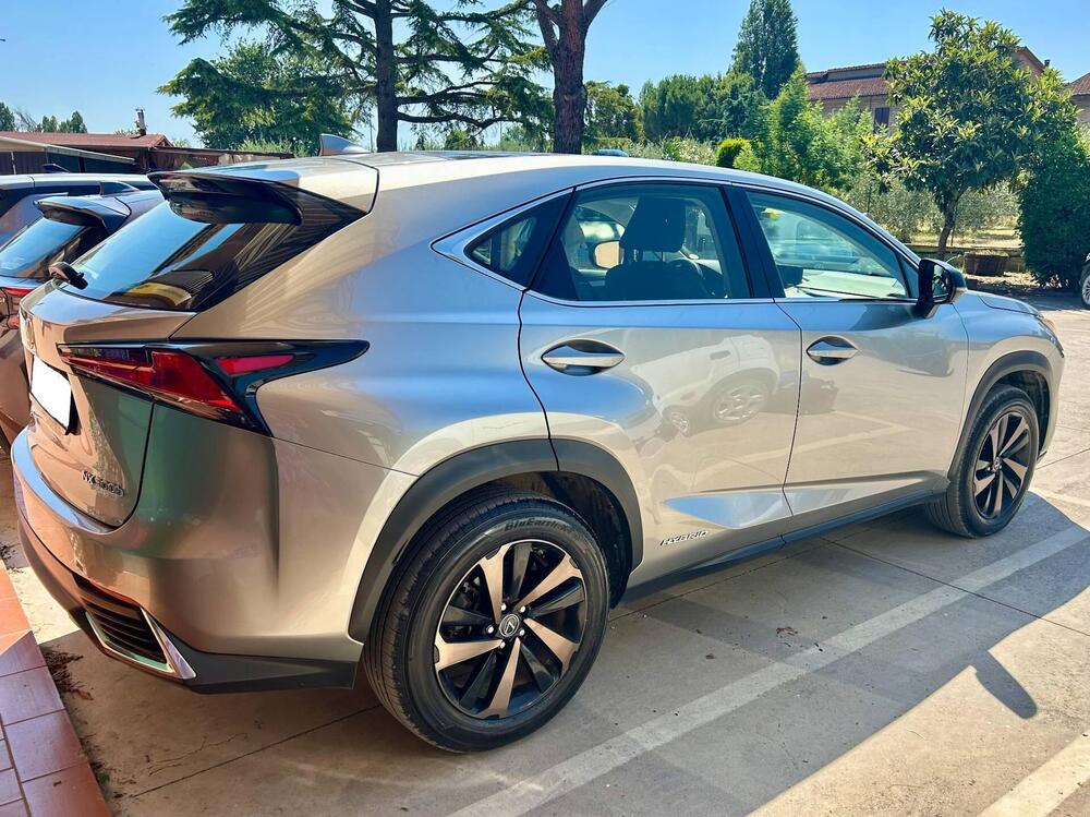 Lexus NX usata a Arezzo (3)