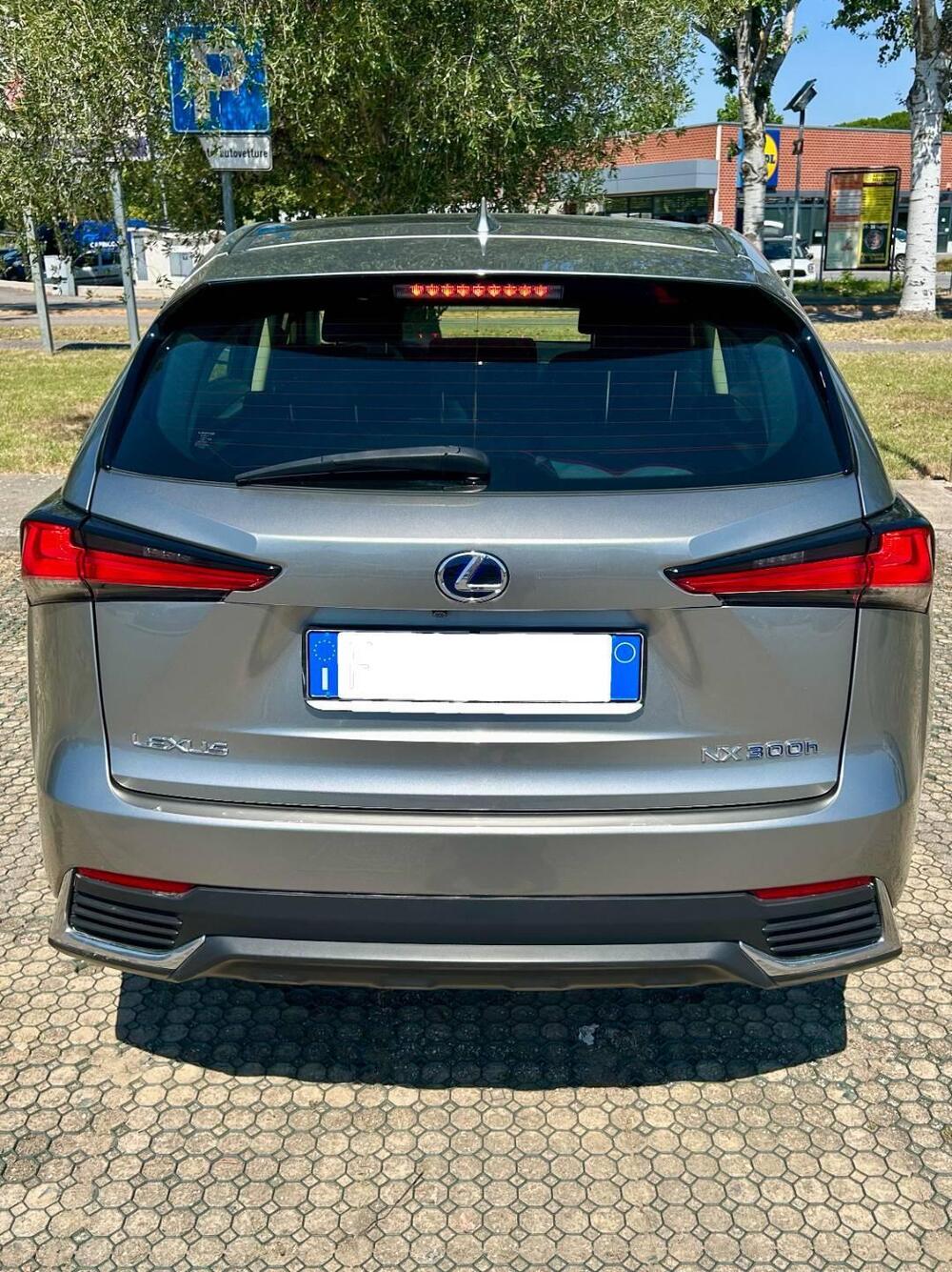 Lexus NX usata a Arezzo (7)