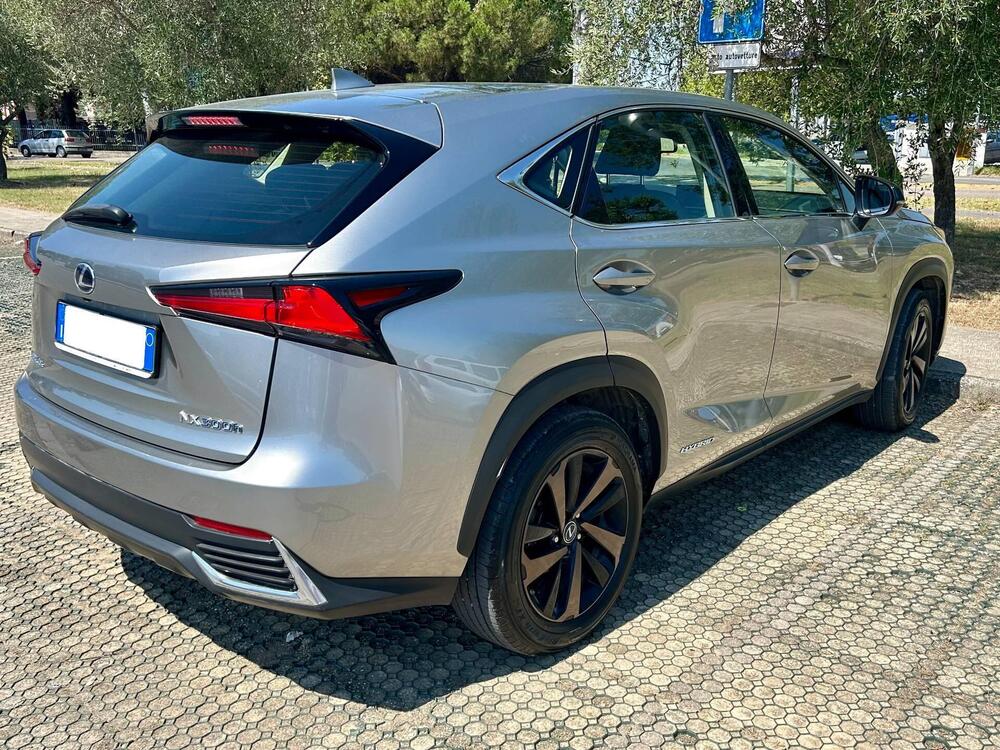 Lexus NX usata a Arezzo (8)