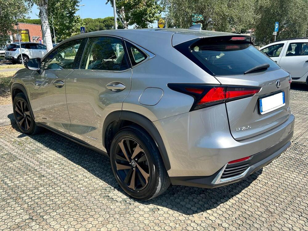 Lexus NX usata a Arezzo (9)