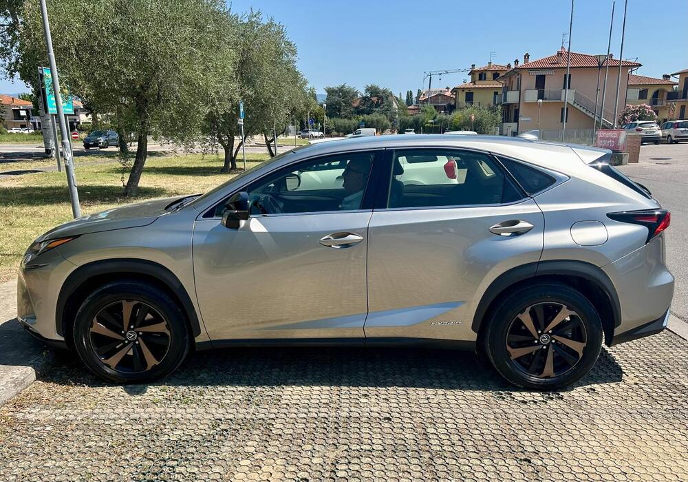 Lexus NX usata a Arezzo (10)