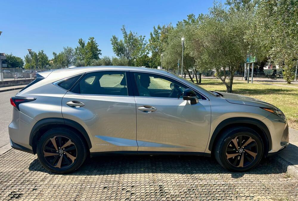 Lexus NX usata a Arezzo (12)