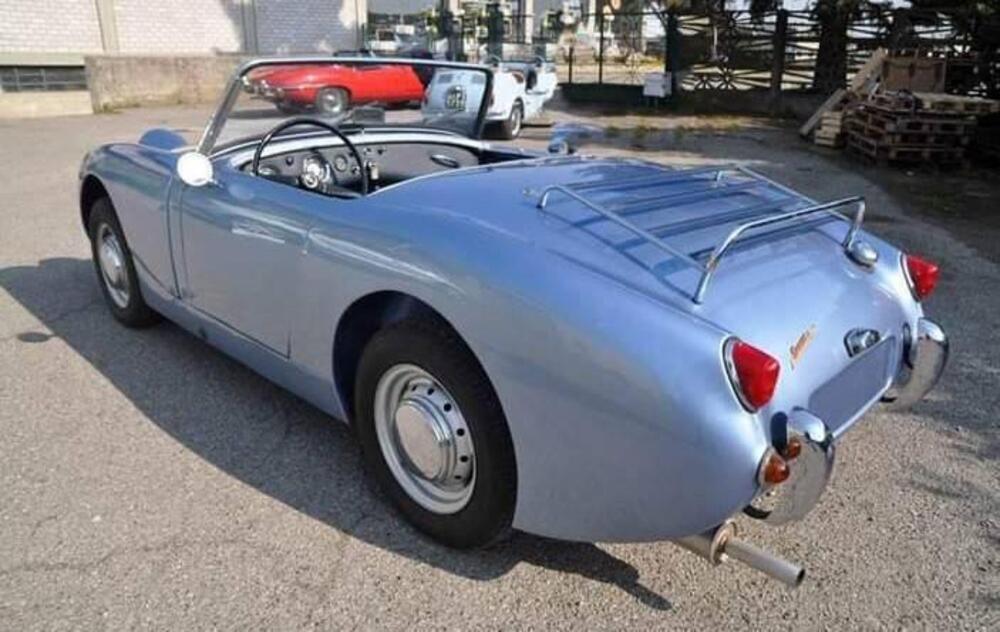 Austin Healey MK1 Sprite frog Eye  d'epoca a Cremona (14)