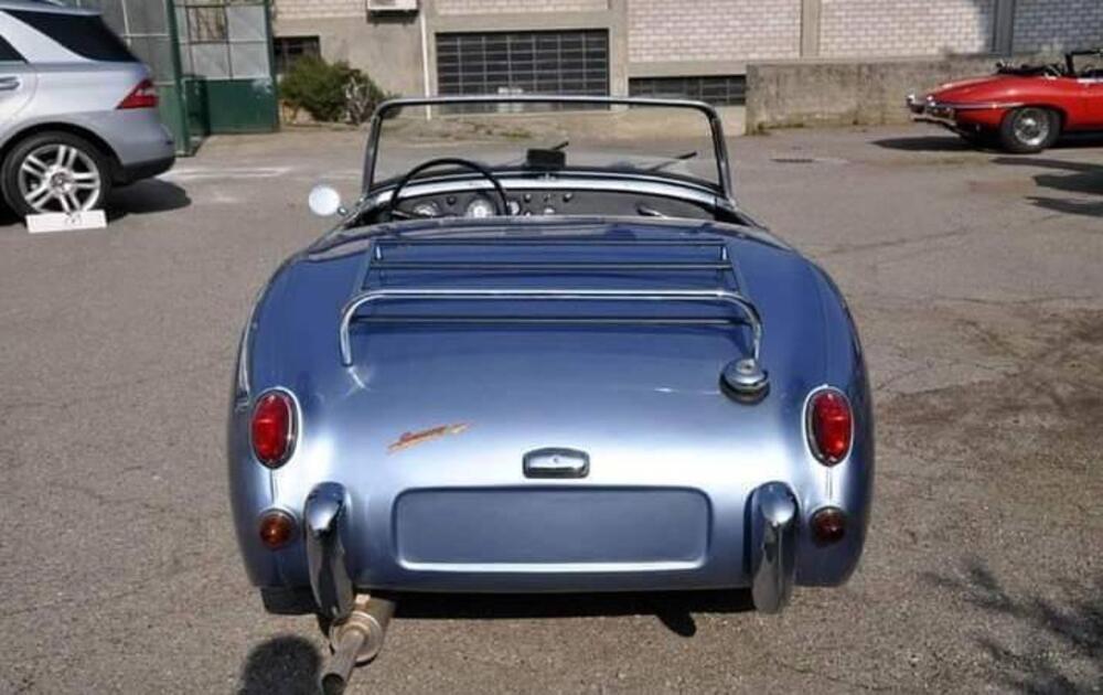 Austin Healey MK1 Sprite frog Eye  d'epoca a Cremona (15)