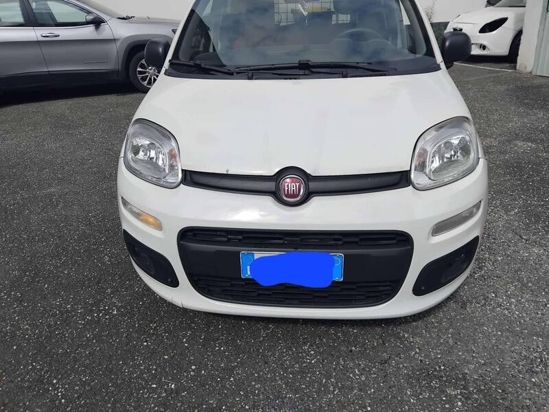 Fiat Panda 0.9 TwinAir Turbo Natural Power Pop Van 2 posti  del 2019 usata a Torino