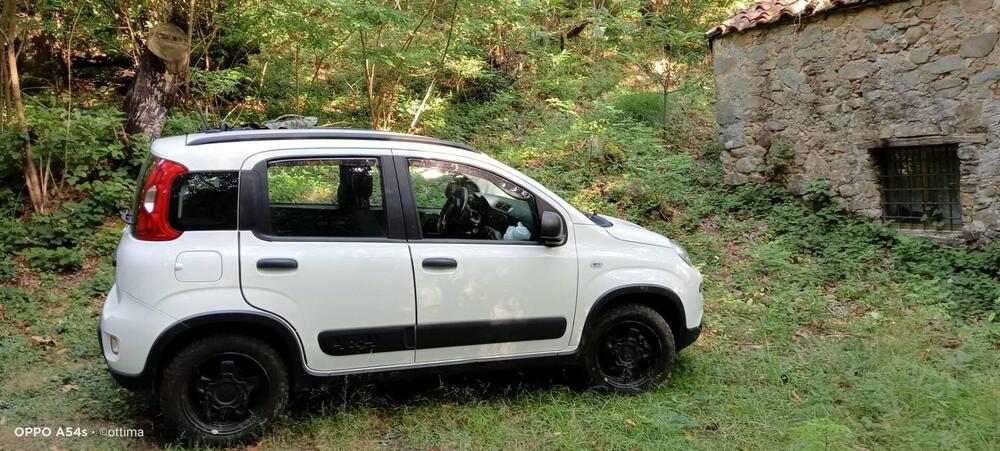 Fiat Panda usata a Pisa