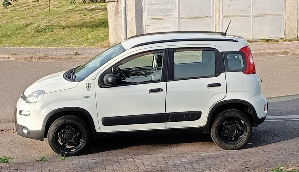 Fiat Panda usata a Pisa (2)