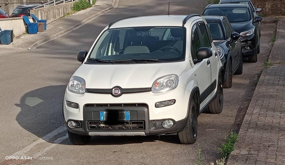 Fiat Panda usata a Pisa (3)