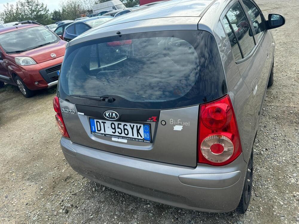 Kia Picanto usata a Alessandria (4)