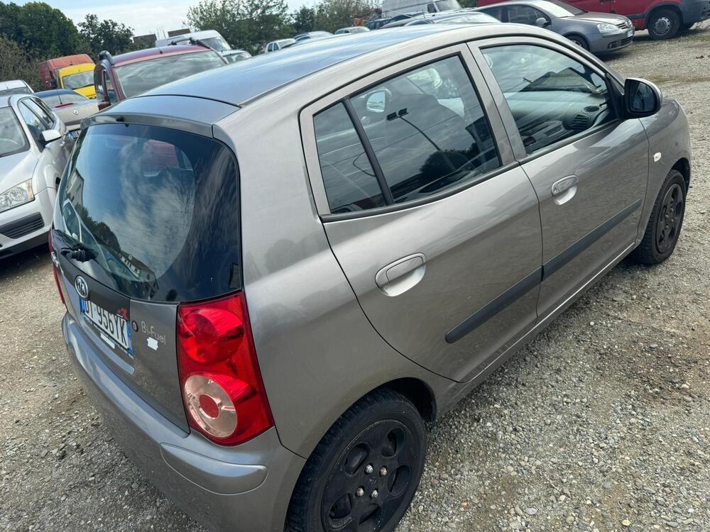 Kia Picanto usata a Alessandria (5)