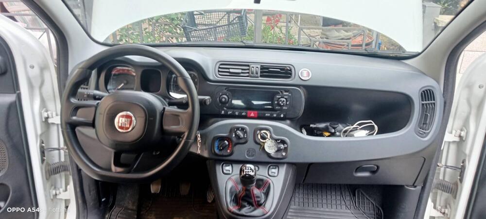 Fiat Panda usata a Pisa (9)