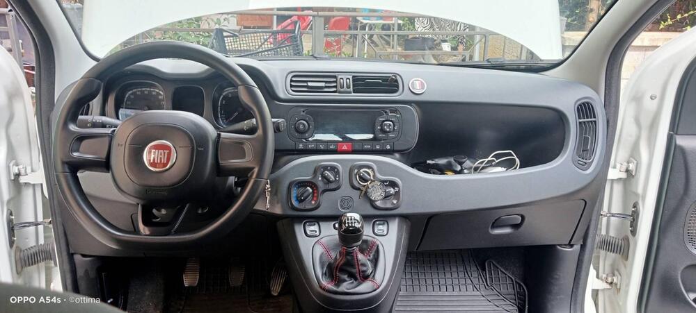 Fiat Panda usata a Pisa (14)