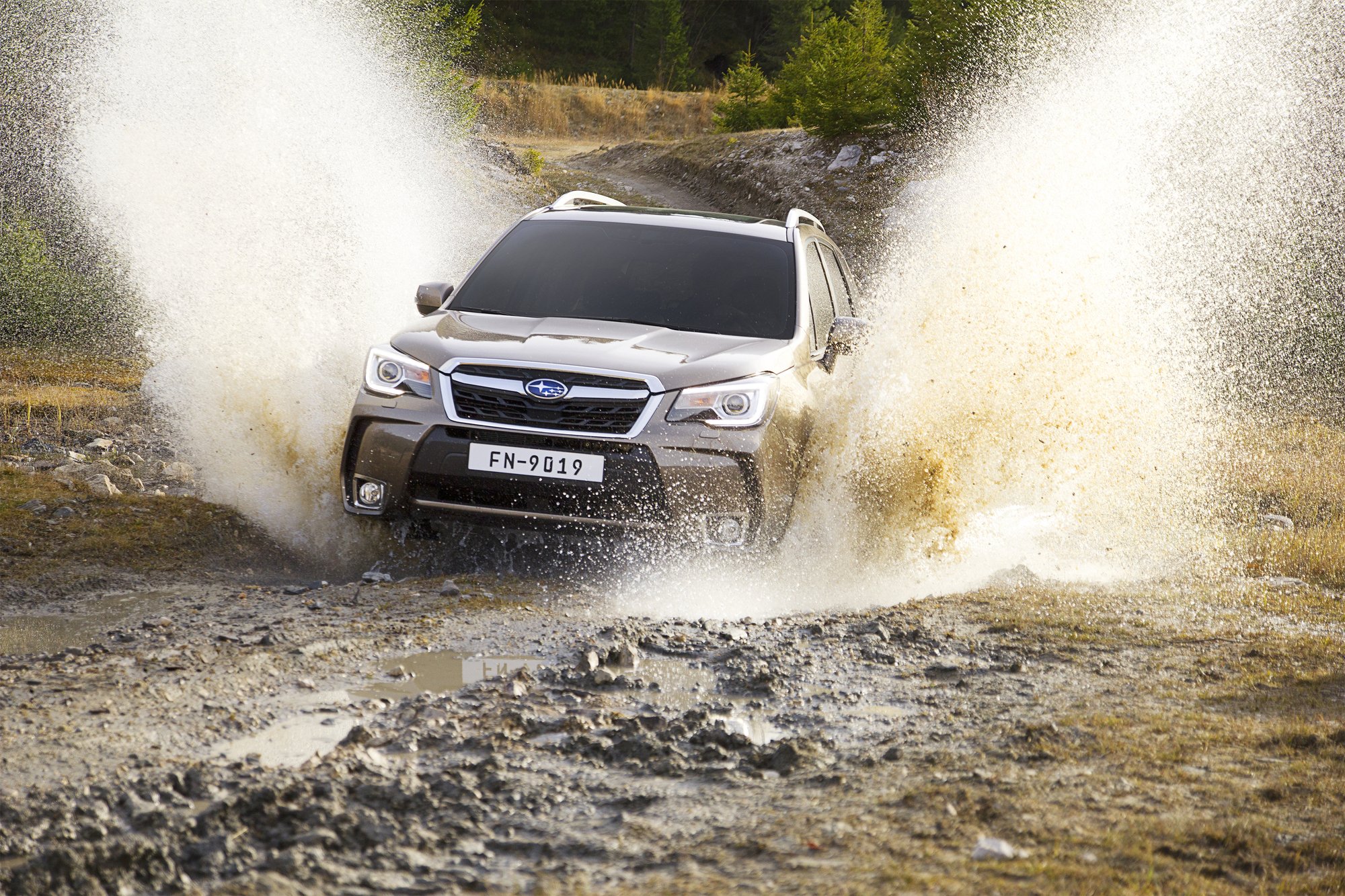 Subaru Forester | Test drive #AMboxing