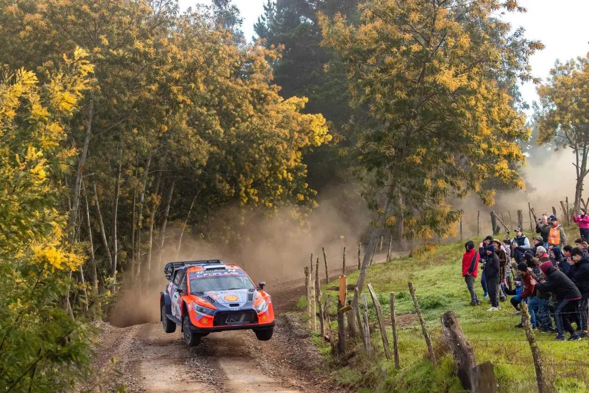 WRC24 Cile. D2 Rovanpera al comando, Neuville più vicino. [VIDEO] (9)