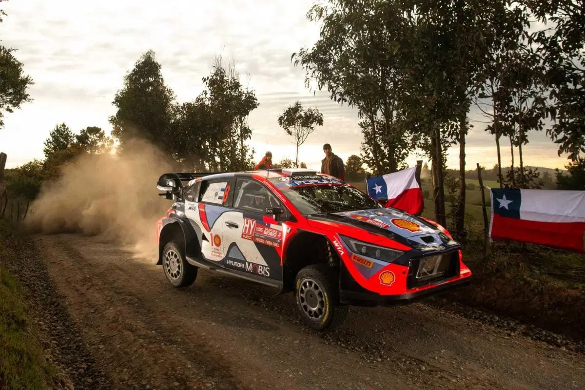 WRC24 Cile. D2 Rovanpera al comando, Neuville più vicino. [VIDEO] (20)