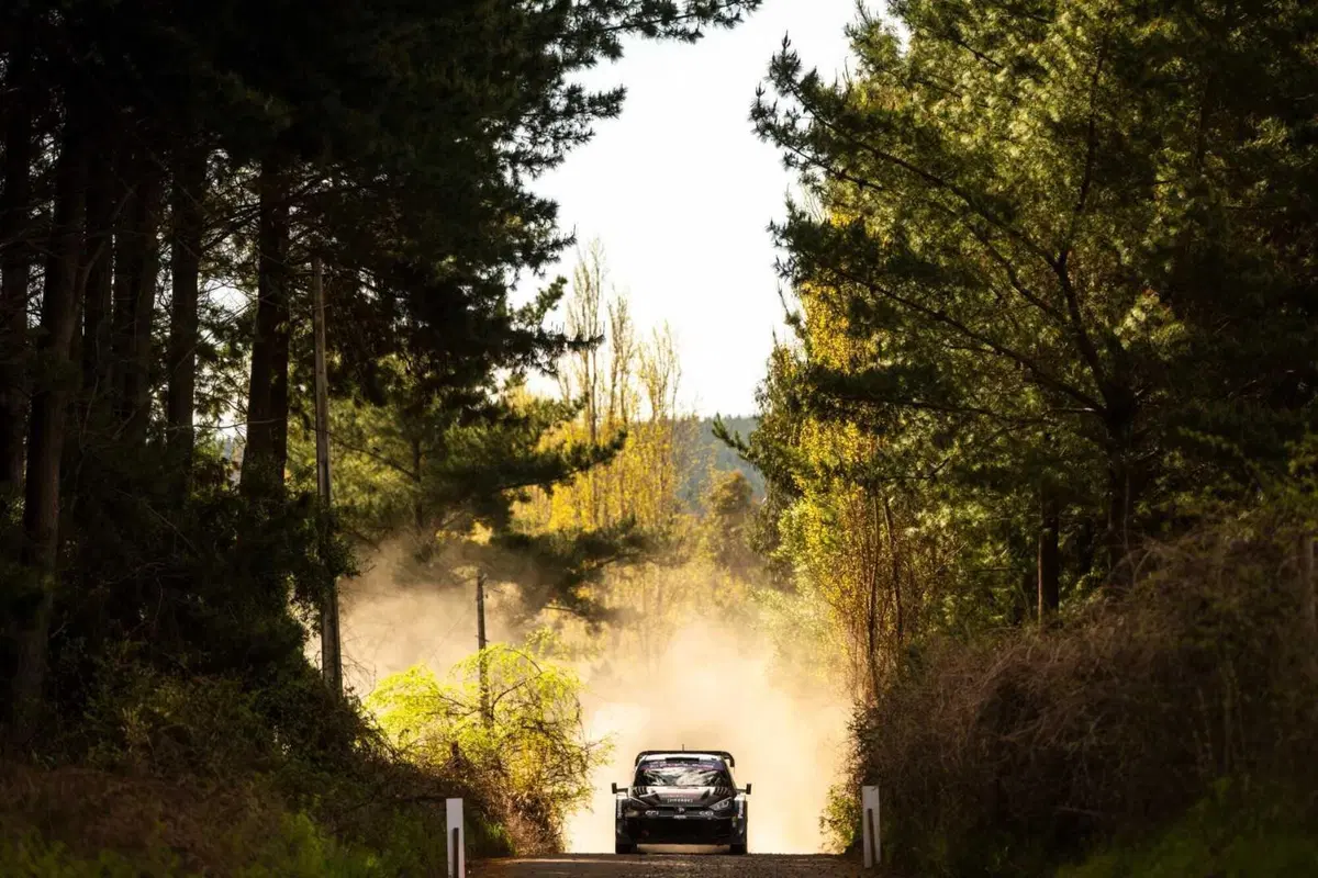 WRC24 Cile. D2 Rovanpera al comando, Neuville più vicino. [VIDEO] (29)