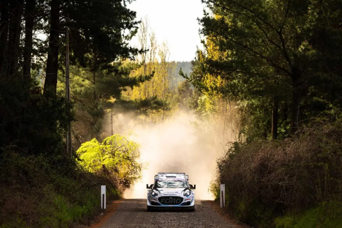 WRC24 Cile. D2 Rovanpera al comando, Neuville più vicino. [VIDEO] (30)