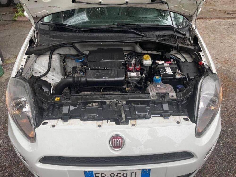 Fiat Punto Evo usata a Verona (6)