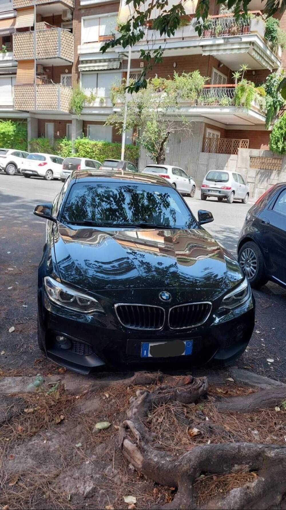 BMW Serie 2 Coupé usata a Roma (6)