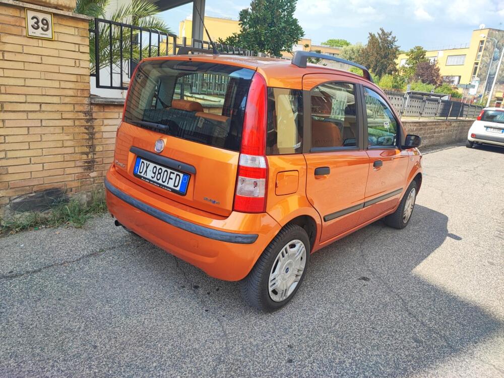 Fiat Panda usata a Viterbo (8)