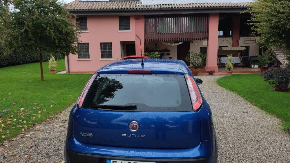 Fiat Punto Evo usata a Vicenza (5)