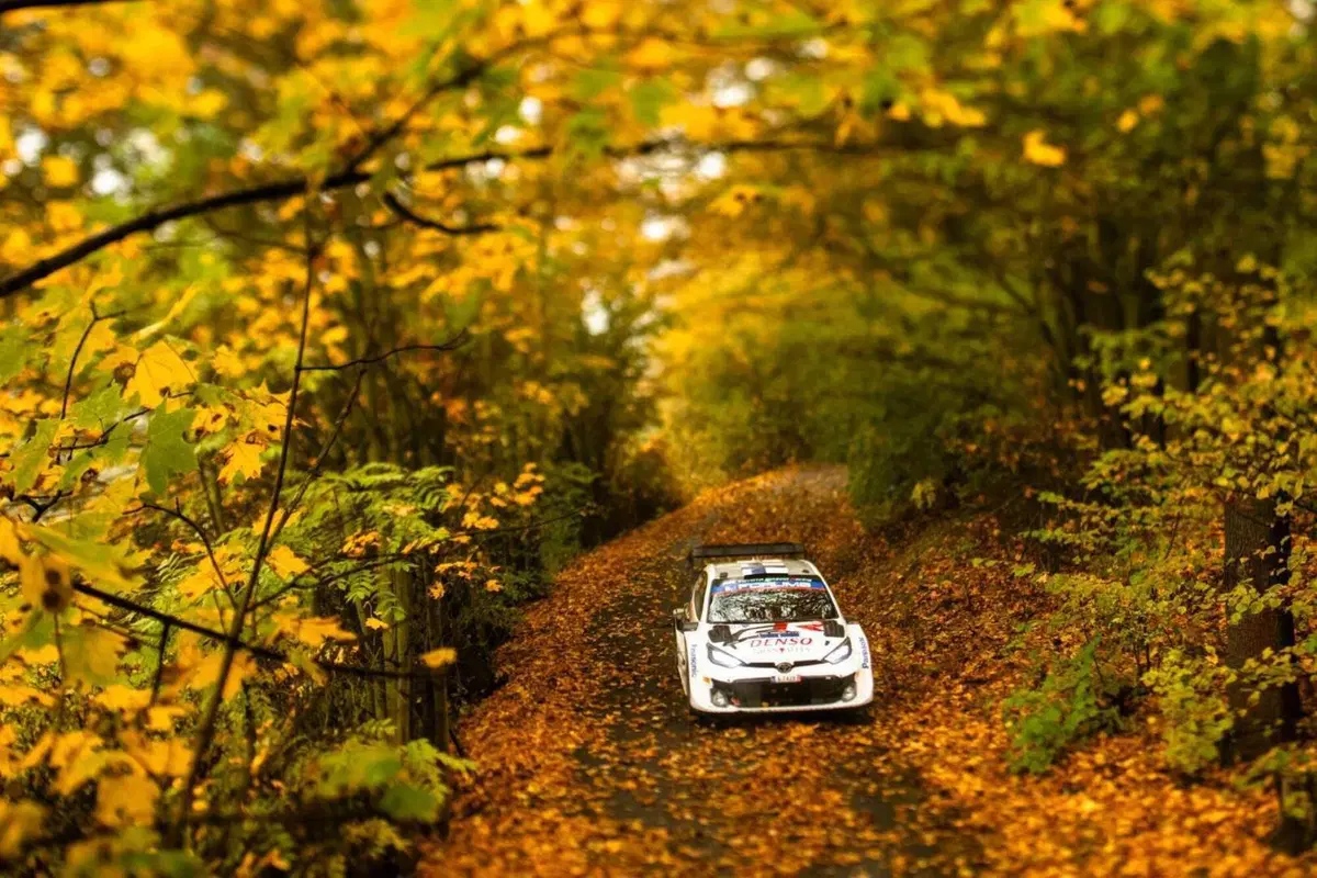 WRC24 CER. D2. Ma te guarda Neuville! [VIDEO] (10)
