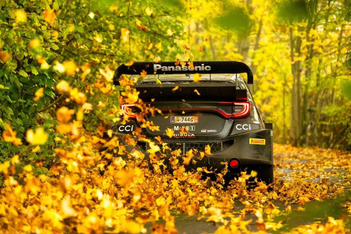 WRC24 CER. D2. Ma te guarda Neuville! [VIDEO] (14)