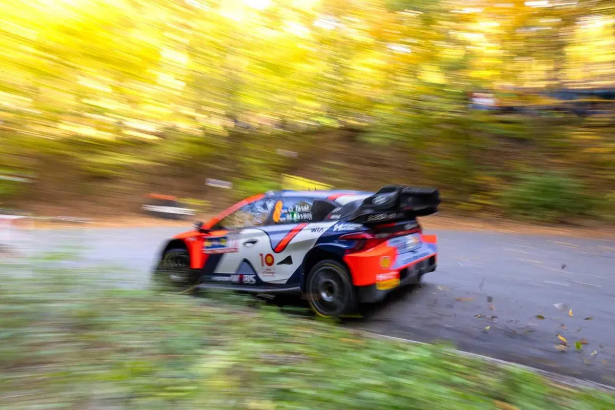 WRC24 CER. D3. Ogier, Tanak, Evans. Il sogno di Neuville può aspettare [VIDEO] (5)