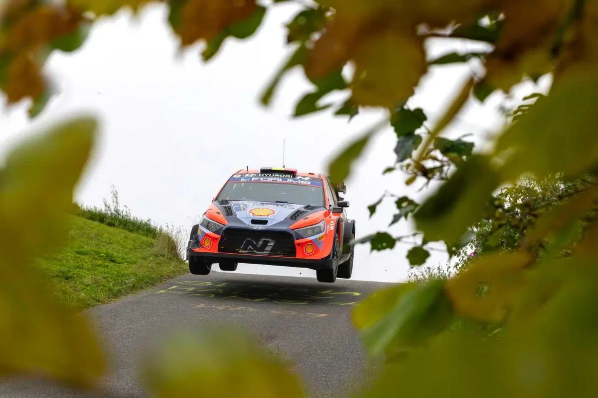 WRC24 CER. D3. Ogier, Tanak, Evans. Il sogno di Neuville può aspettare [VIDEO] (8)