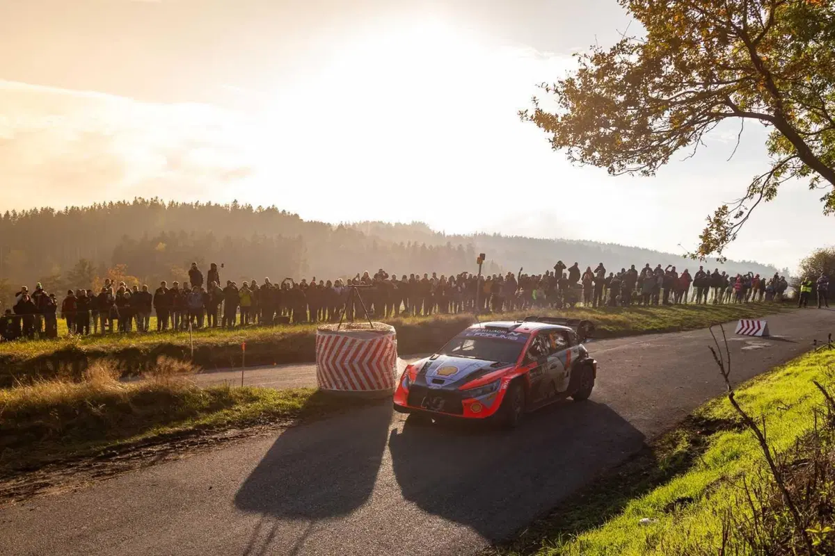 WRC24 CER. D3. Ogier, Tanak, Evans. Il sogno di Neuville può aspettare [VIDEO] (9)
