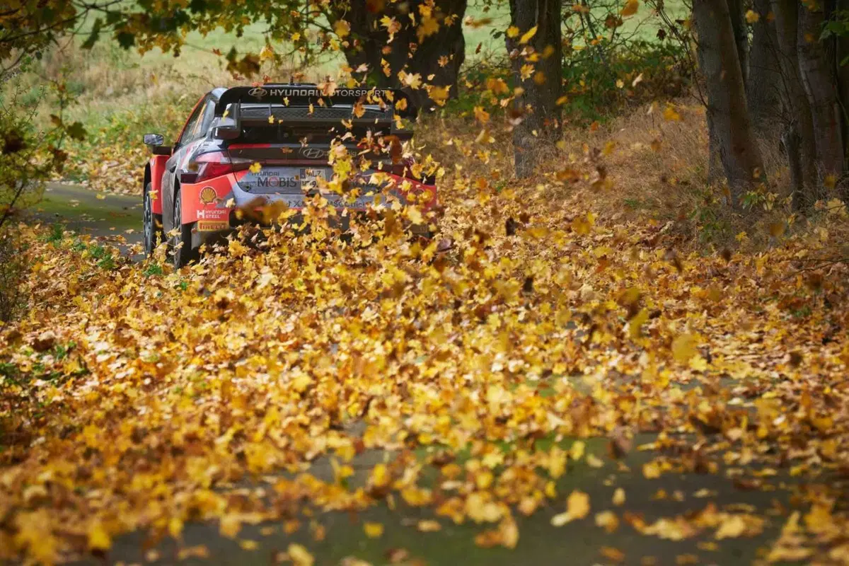 WRC24 CER. D3. Ogier, Tanak, Evans. Il sogno di Neuville può aspettare [VIDEO] (10)