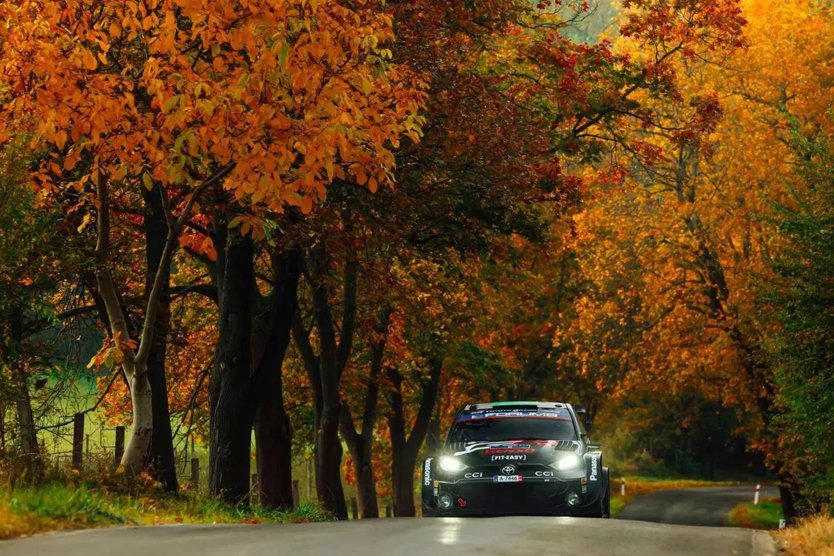 WRC24 CER. D3. Ogier, Tanak, Evans. Il sogno di Neuville può aspettare [VIDEO] (13)