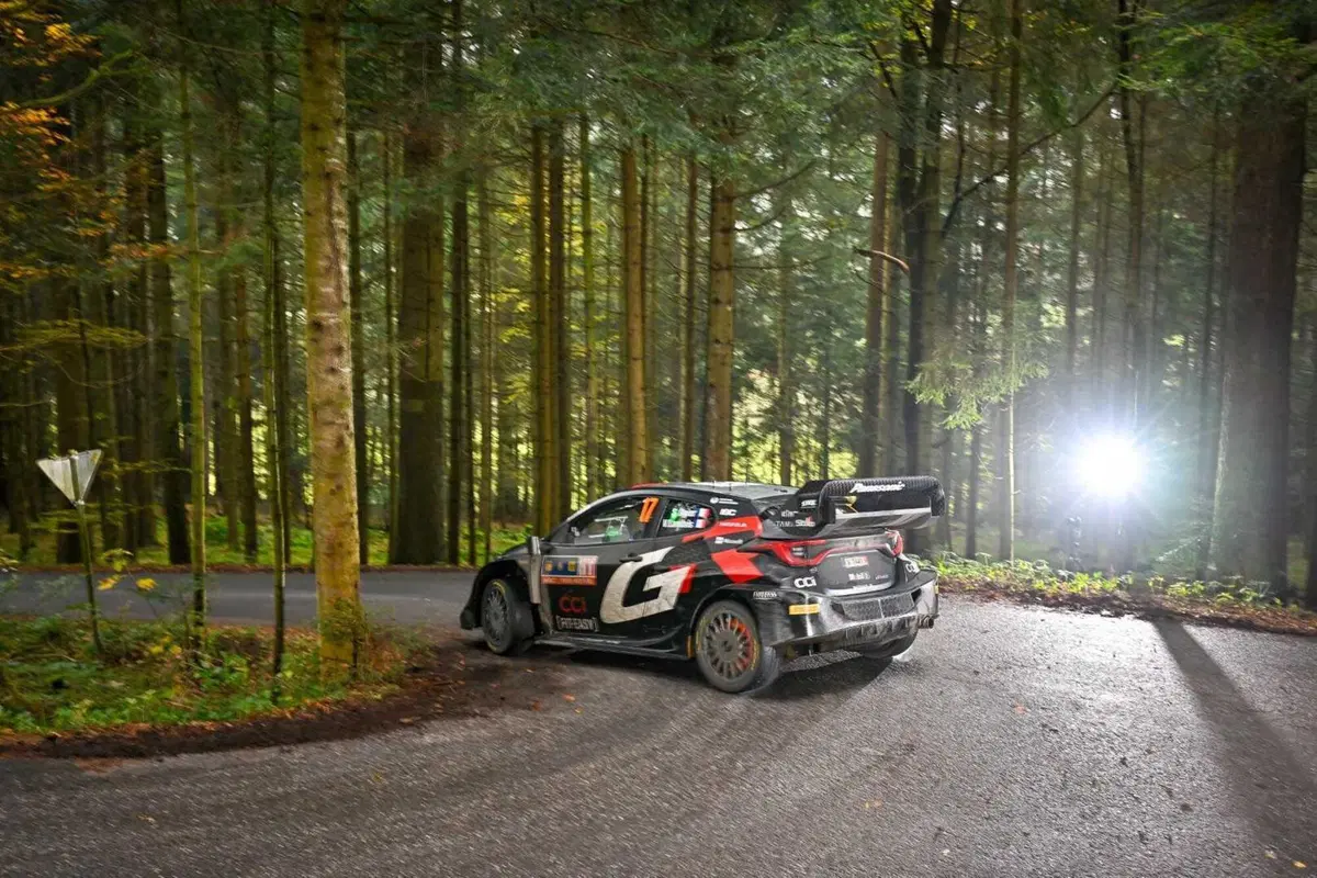 WRC24 CER. D3. Ogier, Tanak, Evans. Il sogno di Neuville può aspettare [VIDEO] (17)