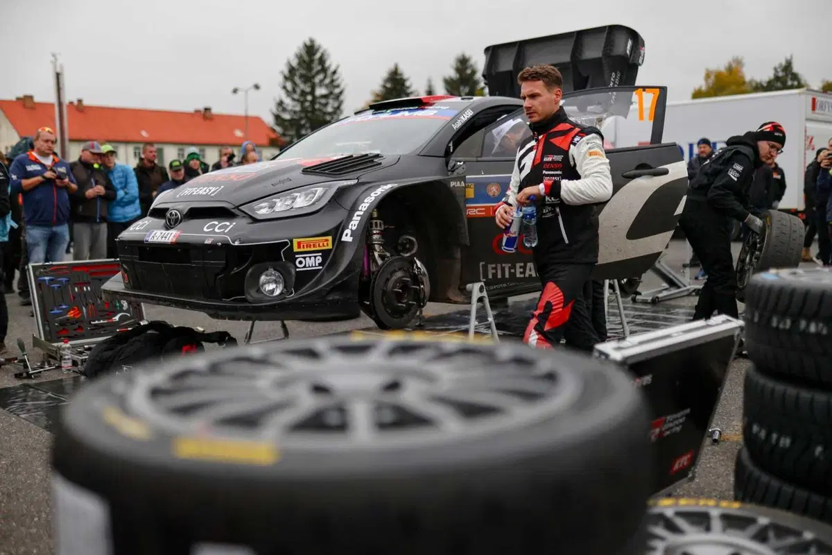 WRC24 CER. D3. Ogier, Tanak, Evans. Il sogno di Neuville può aspettare [VIDEO] (20)