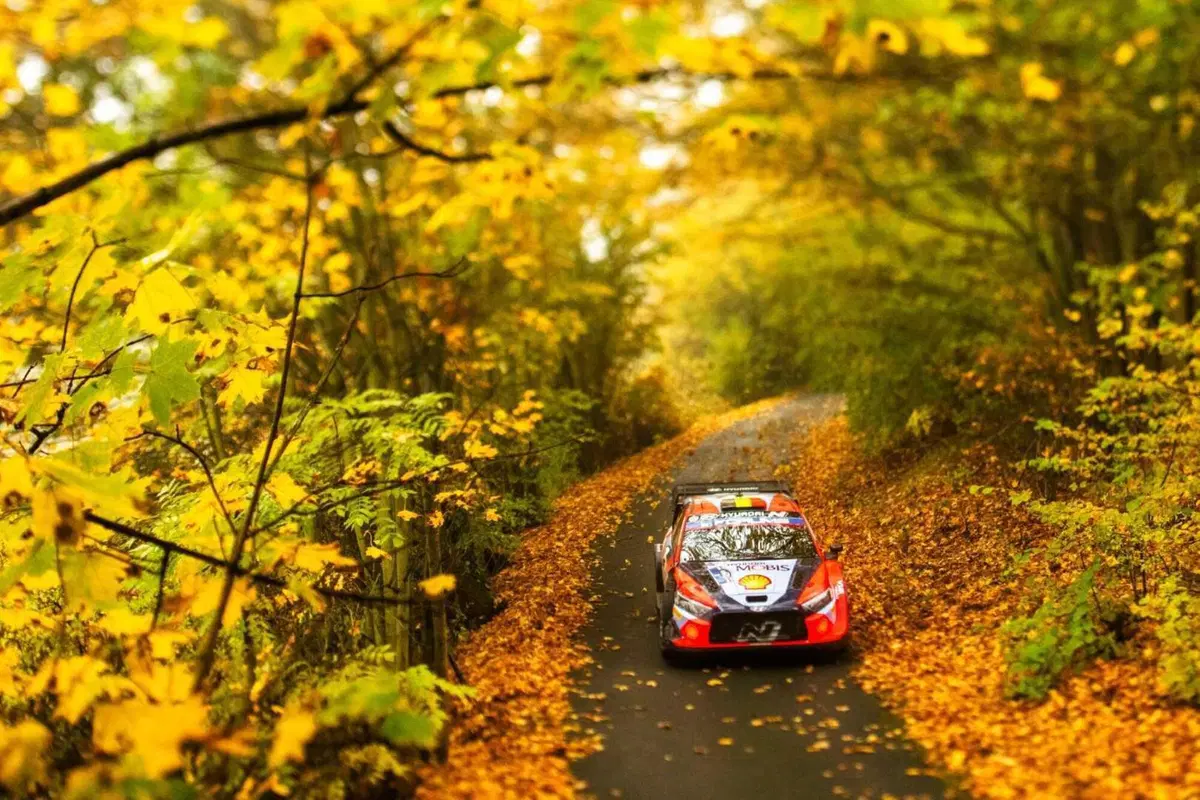 WRC24 CER. D3. Ogier, Tanak, Evans. Il sogno di Neuville può aspettare [VIDEO] (21)
