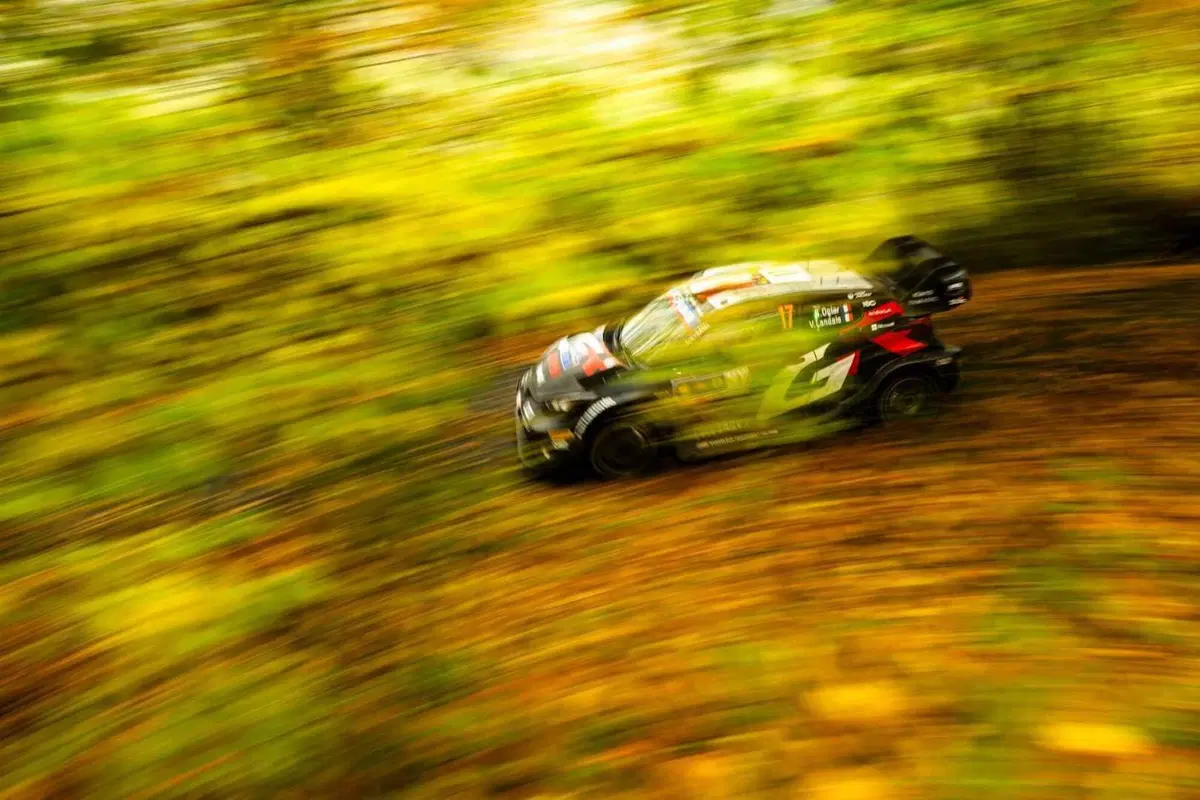 WRC24 CER. D3. Ogier, Tanak, Evans. Il sogno di Neuville può aspettare [VIDEO] (22)