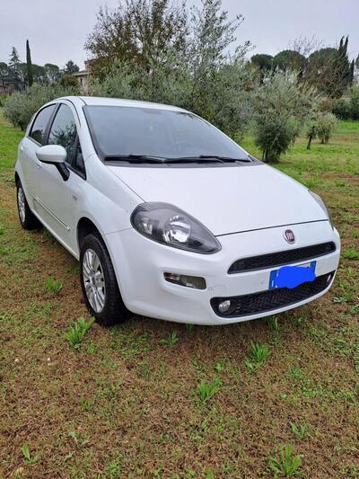 Fiat Punto 1.4 8V 5 porte Natural Power Easy  del 2012 usata a Massa Martana