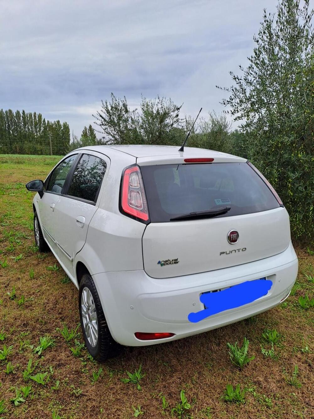 Fiat Punto usata a Perugia (2)